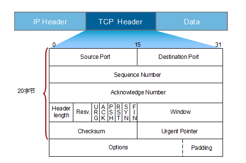 tcp-head.png