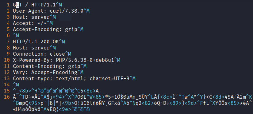 vim gzip 数据.png