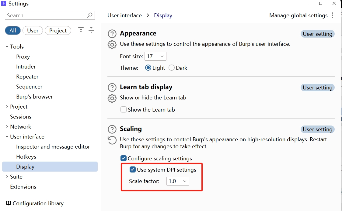 BurpSuite 设置中调整缩放.png