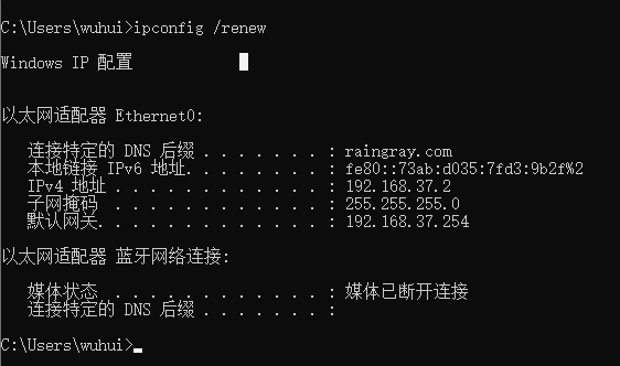 客户端 DHCP 自动获取到网络配置.png