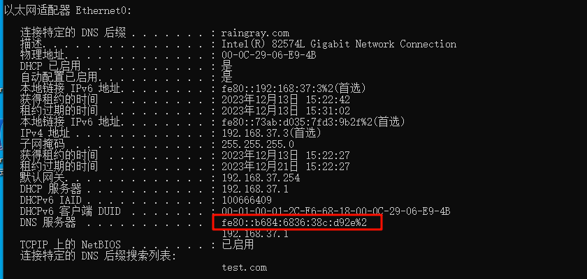 受害者成功配置上 IPv6 DNS 服务器.png